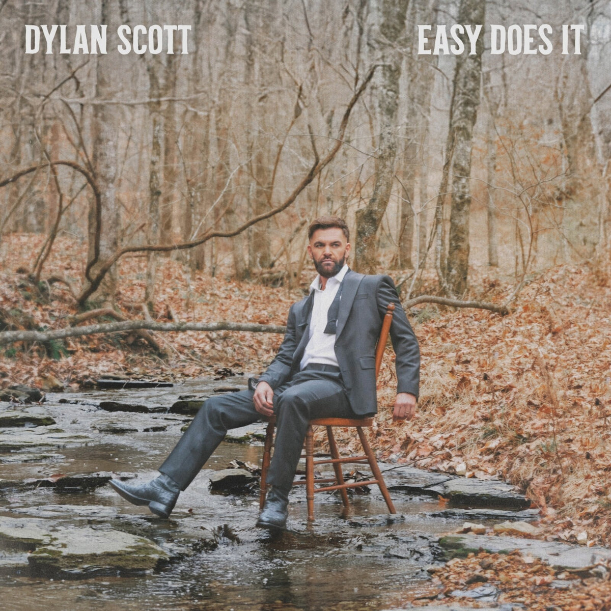 Dylan Scott - Easy Does It Product Image