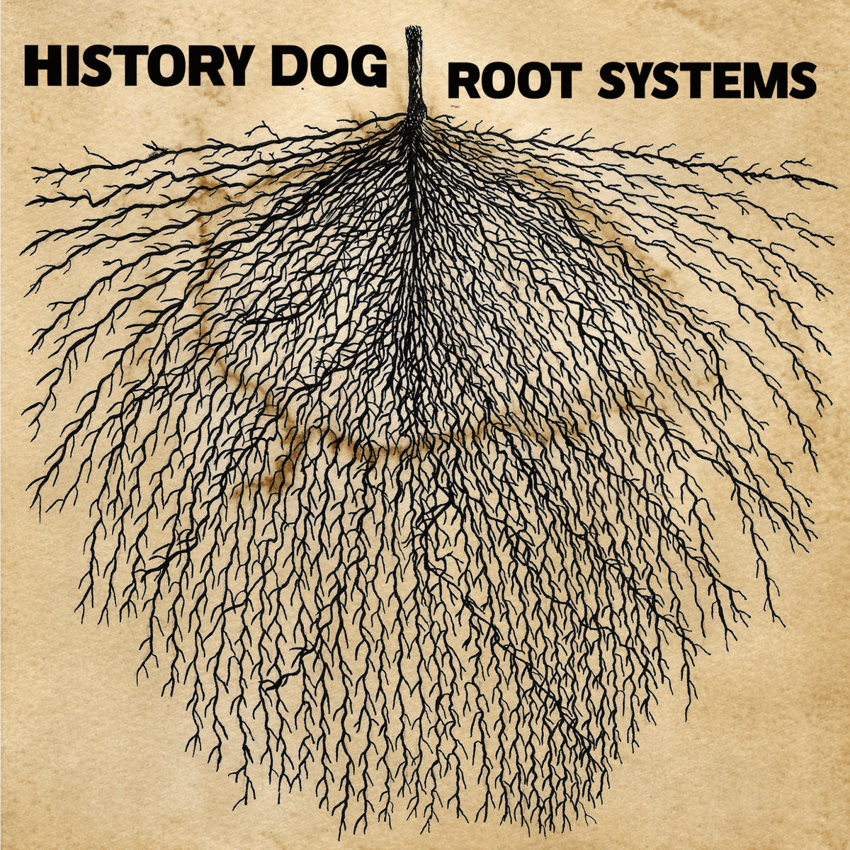 History Dog - Root Systems Product Image