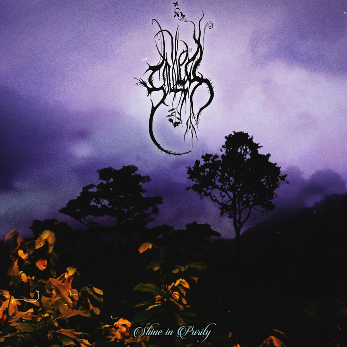 Soulless - Shine In Purity Product Image