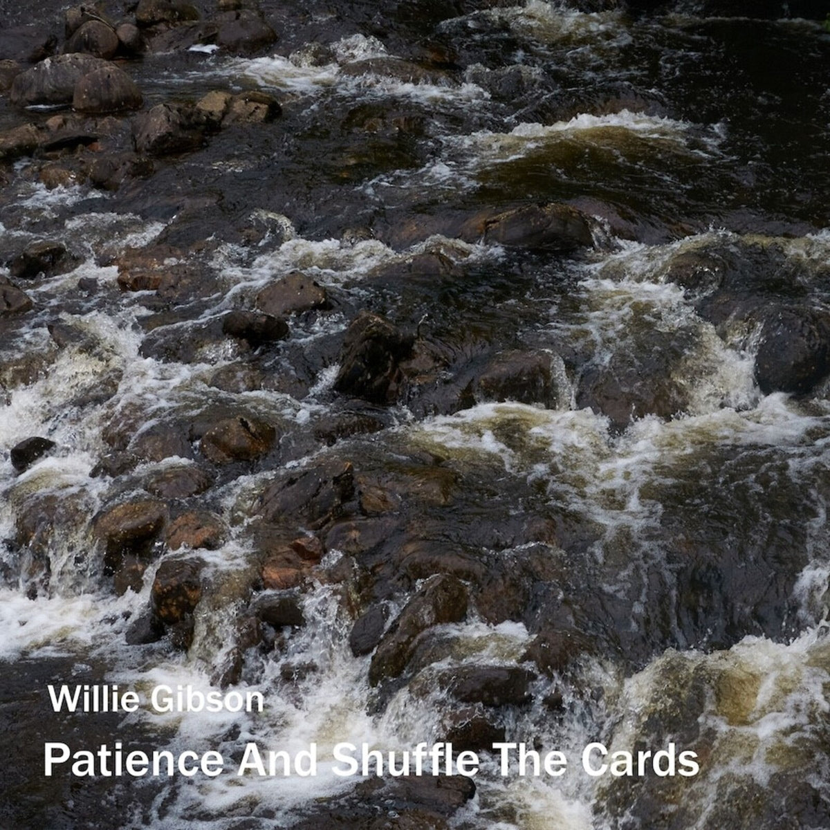 Willie Gibson - Patience and Shuffle The Cards Product Image