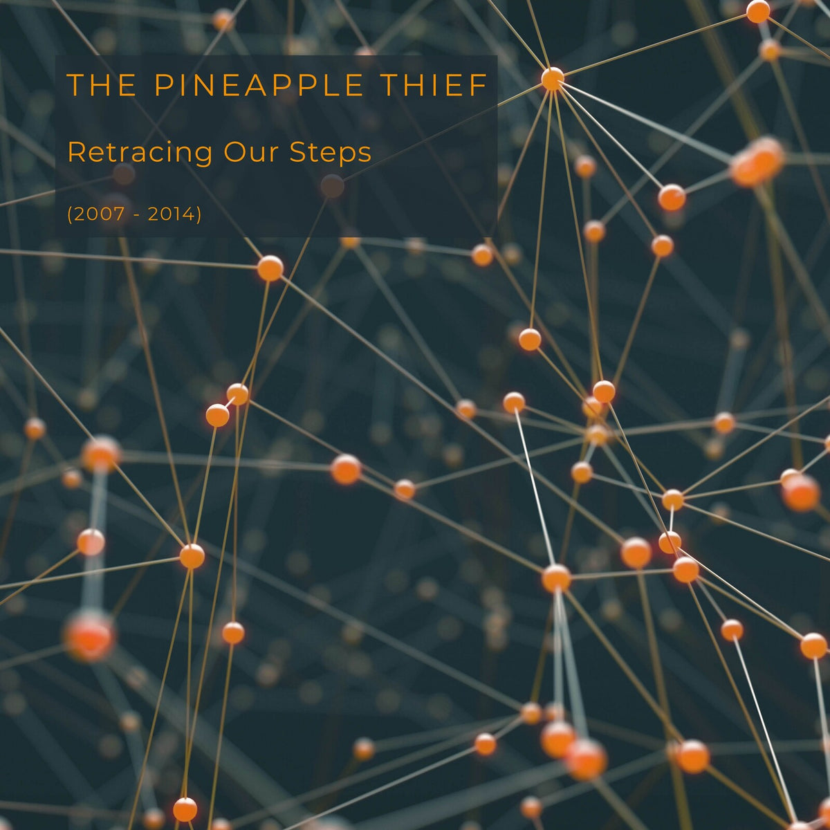 The Pineapple Thief - Retracing Our Steps Product Image