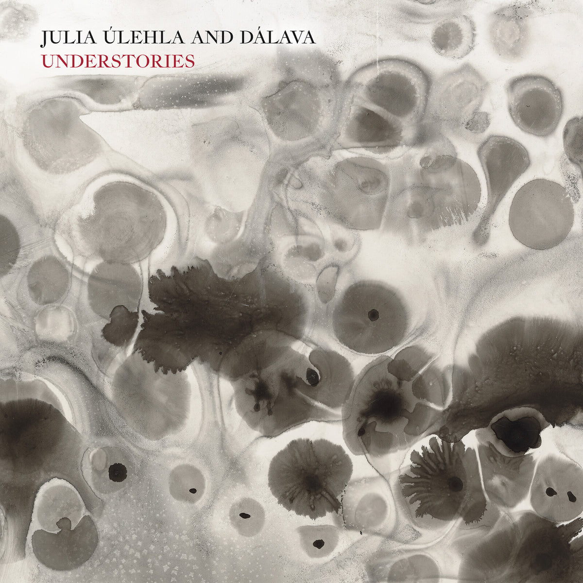 Julia Ulehla and Dalava - Understories Product Image