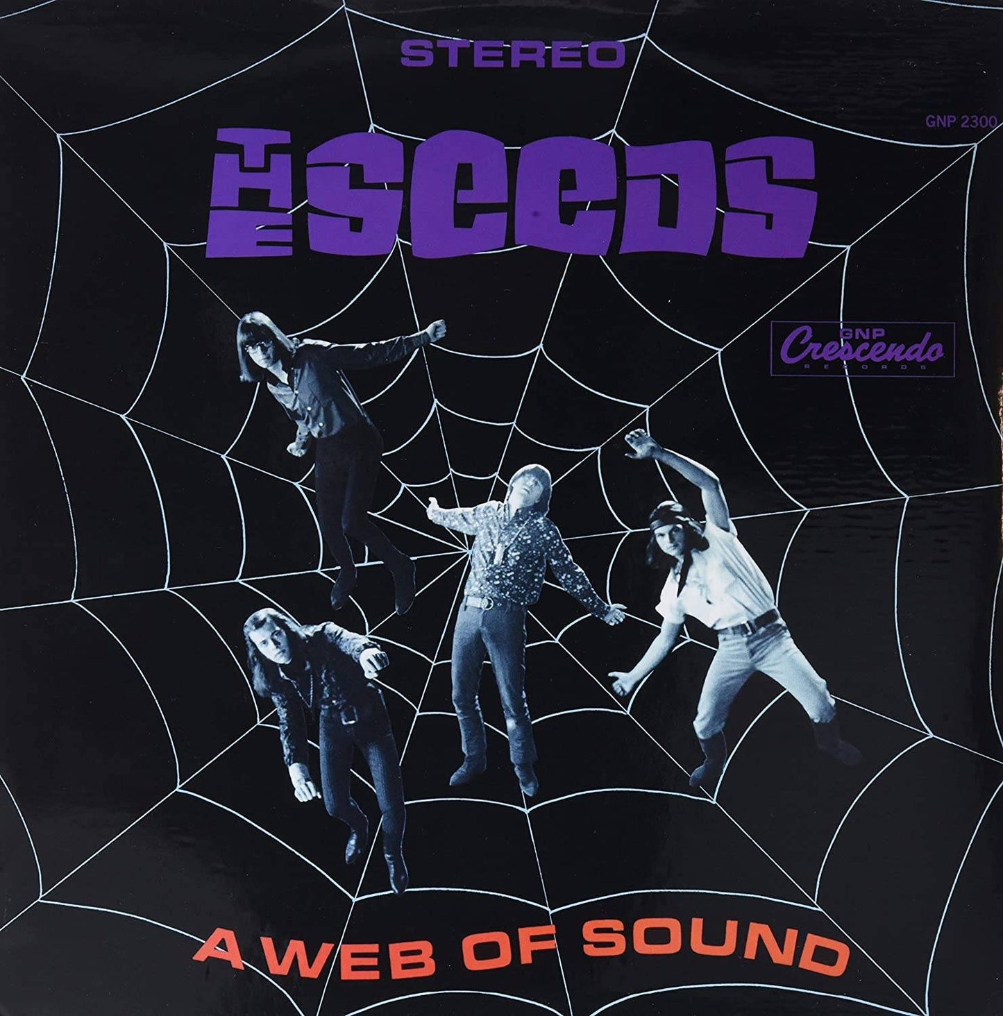 A Web Of Sounds