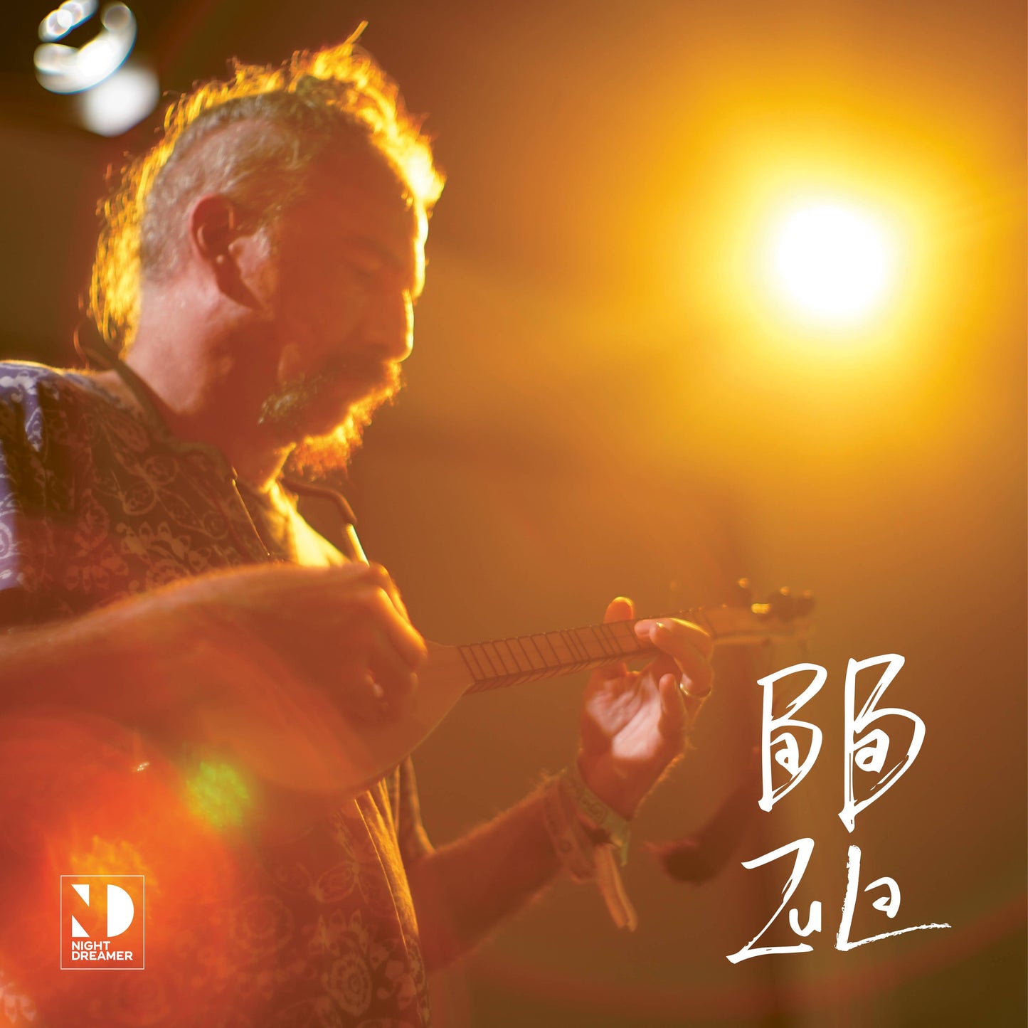 Hayvan Gibi / Night Dreamer Direct-to-Disc
