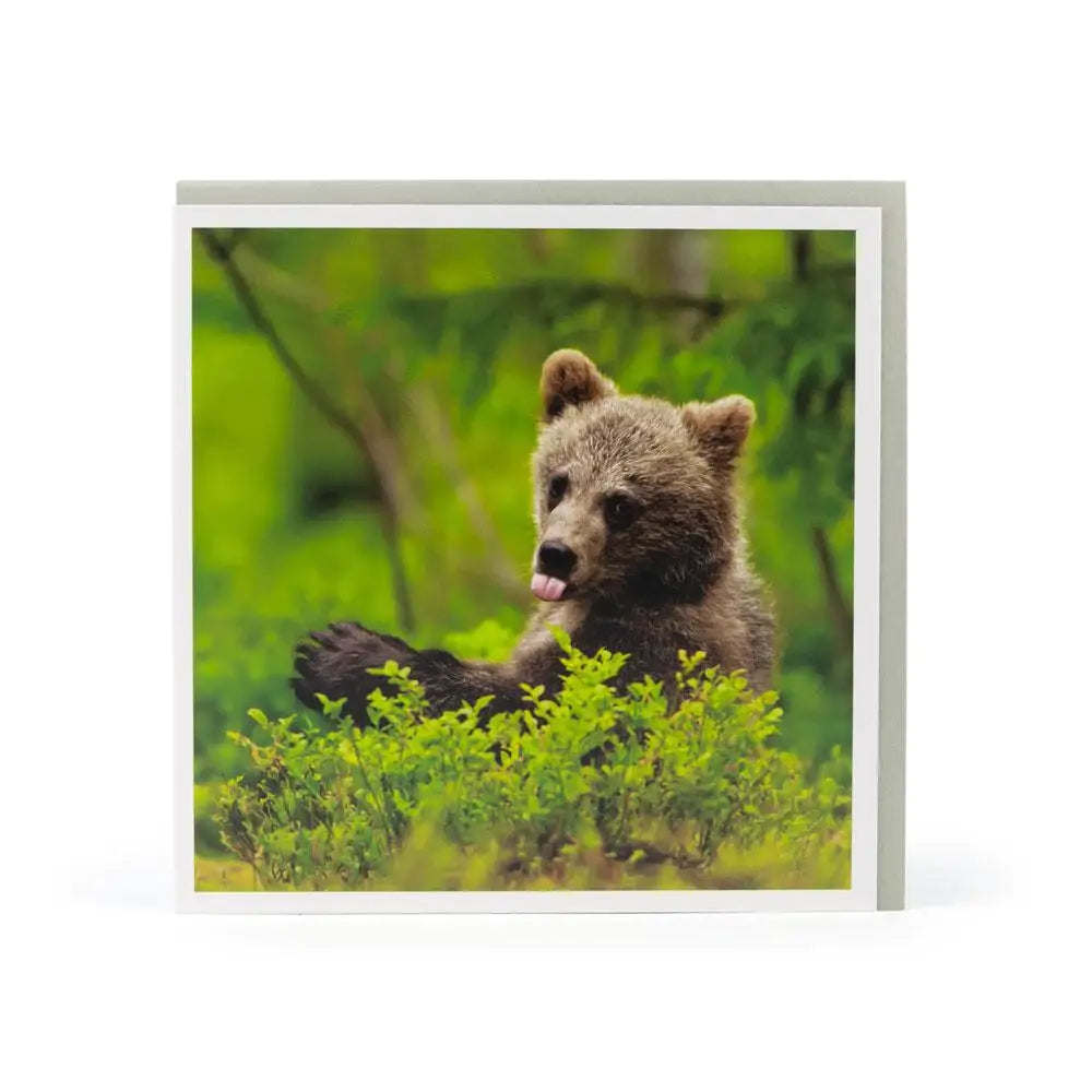 Bear Cub Waving Card