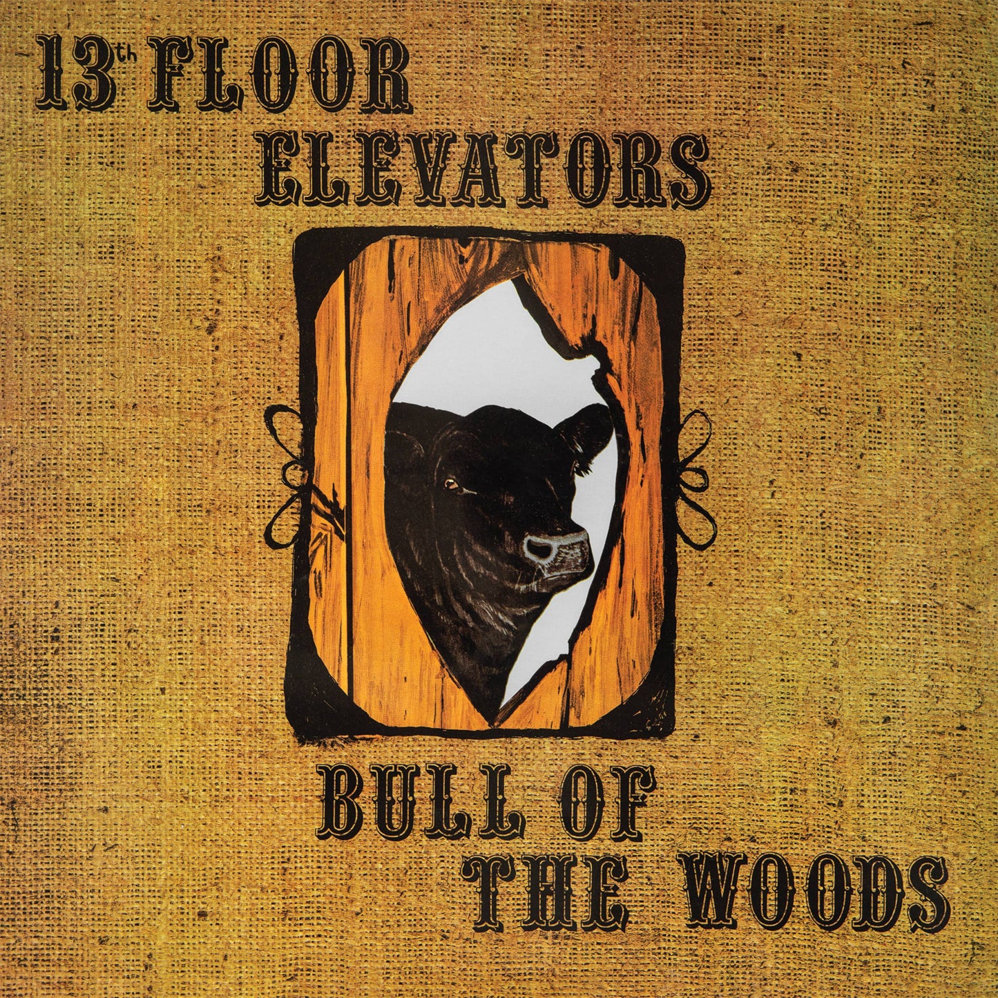 Bull of the Woods
