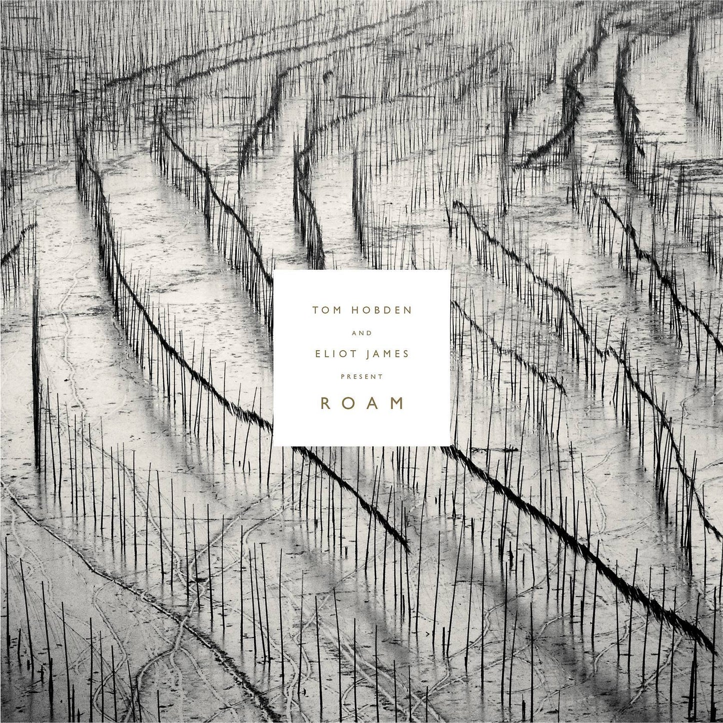 Tom Hobden and Eliot James Present: Roam