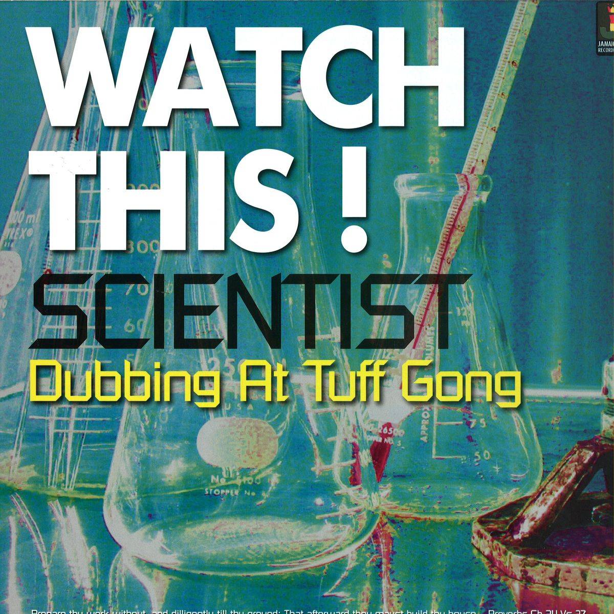 Watch This! - Scientist Dubbing at Tuff Gong
