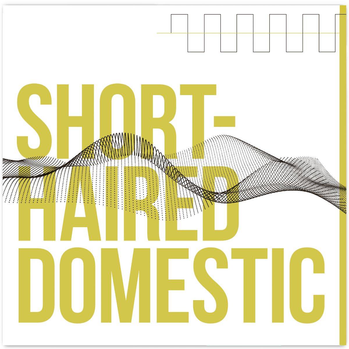 Short-Haired Domestic