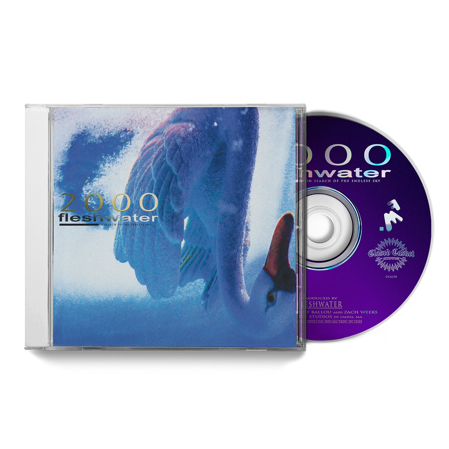 2000: In Search of the Endless Sky