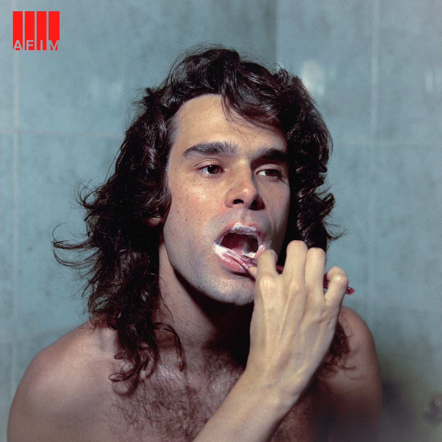 Zé Ibarra - AFIM Album Cover
