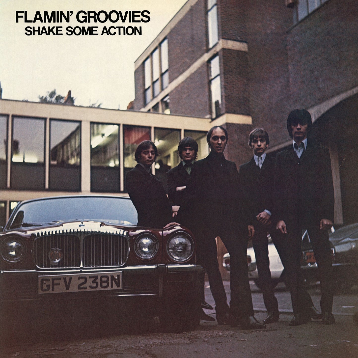 Flamin' Groovies - Shake Some Action Album Cover