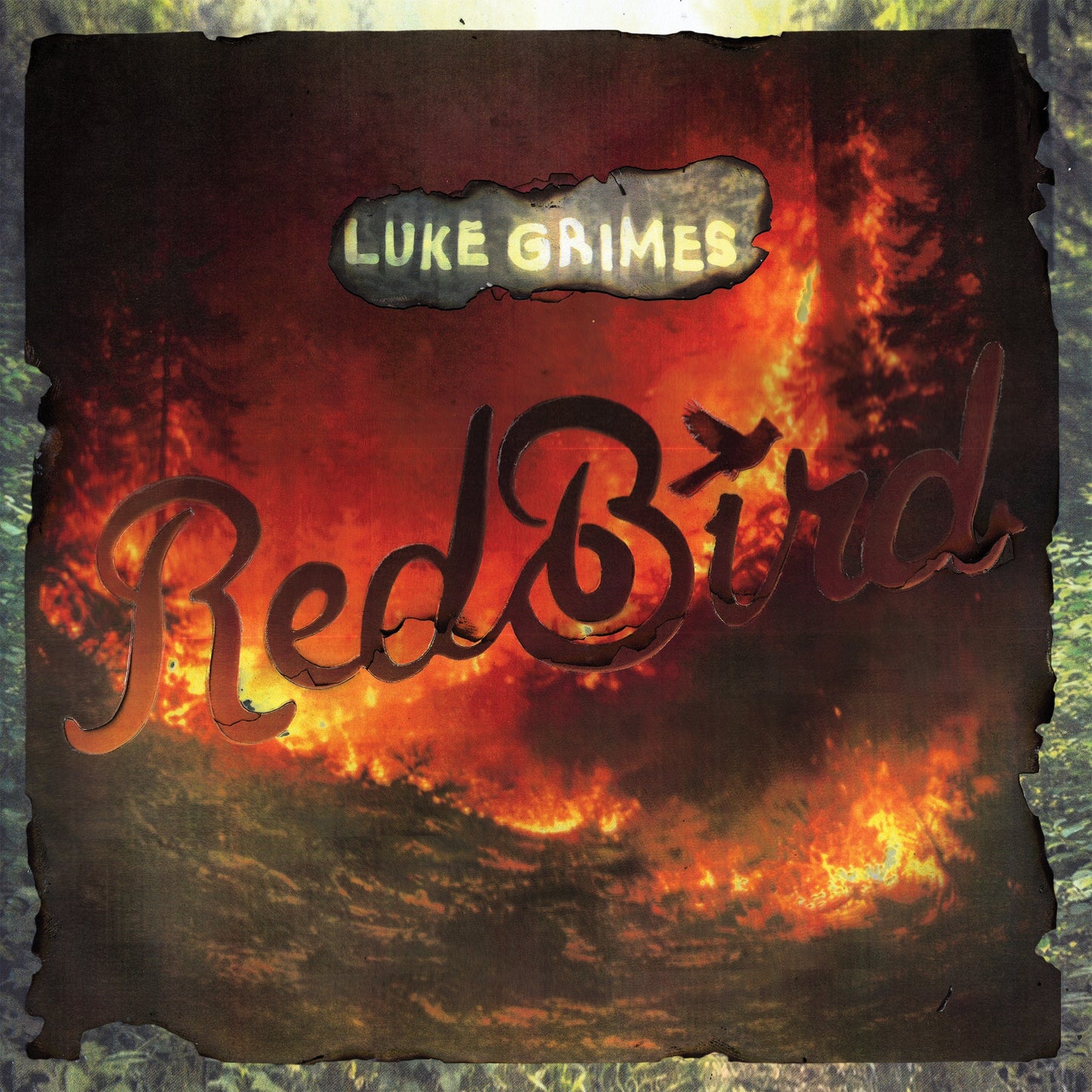 Luke Grimes - Red Bird Album Cover