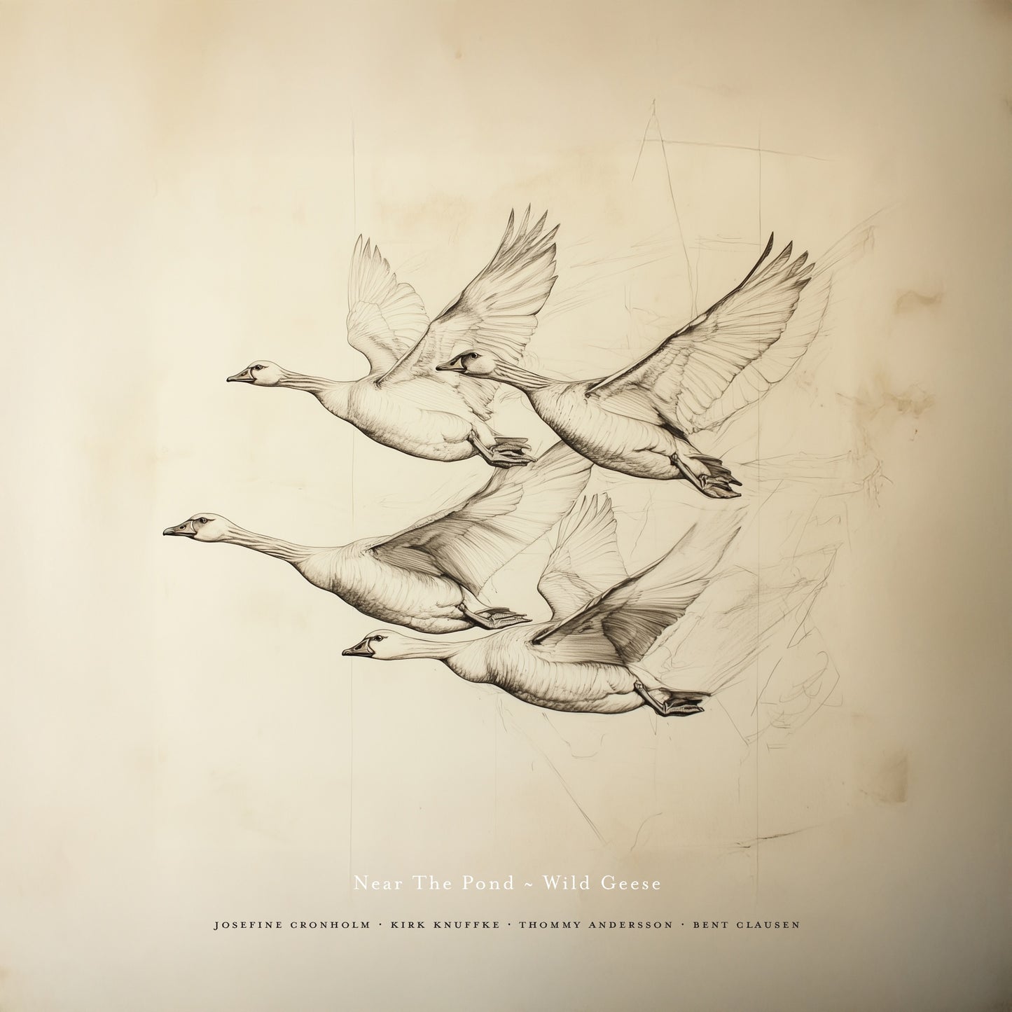 Various Artists - Near The Pond - Wild Geese Album Cover