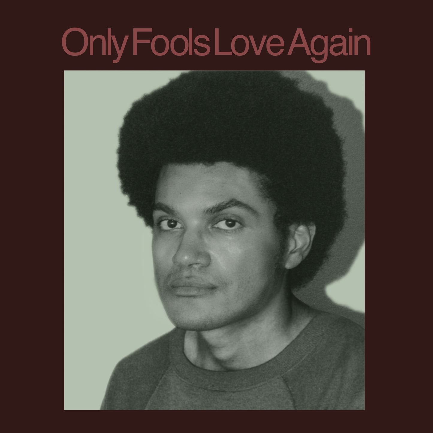 Danny Ayala - Only Fools Love Again Album Cover