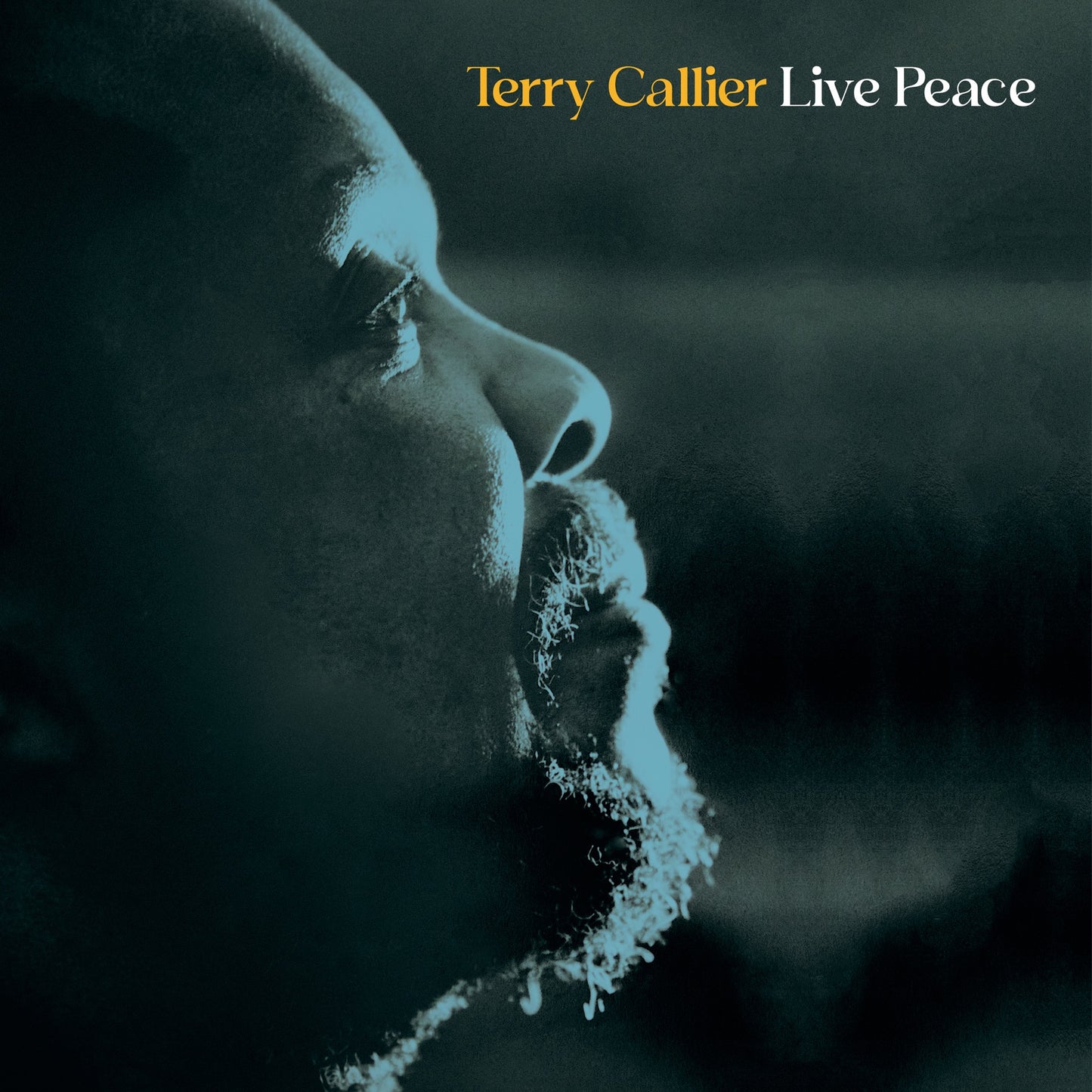 Terry Callier - Live Peace (Live) Album Cover