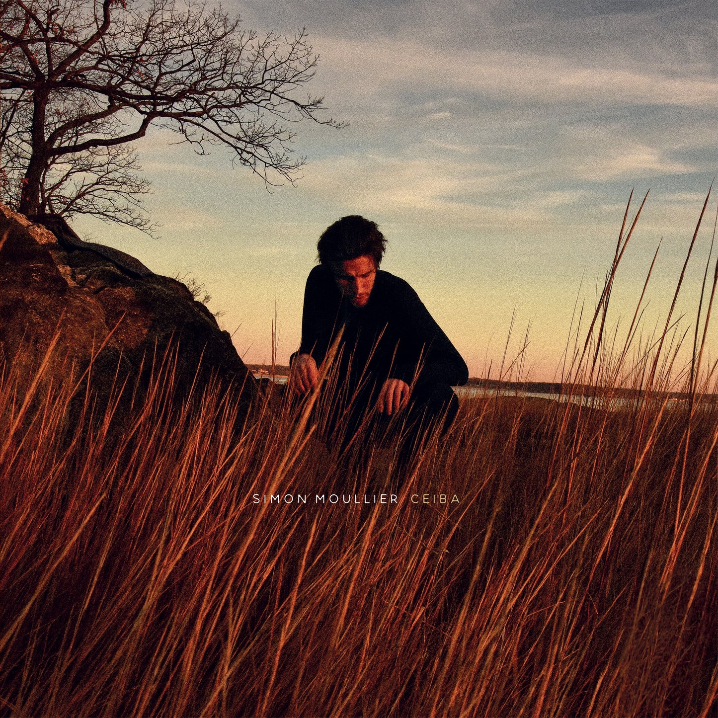 Simon Moullier - Ceiba Album Cover