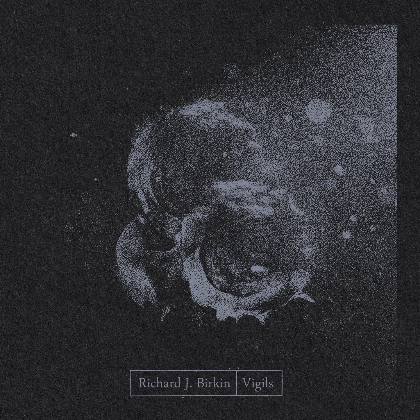 Richard J. Birkin - Vigils (10th Anniversary - Remastered) Album Cover