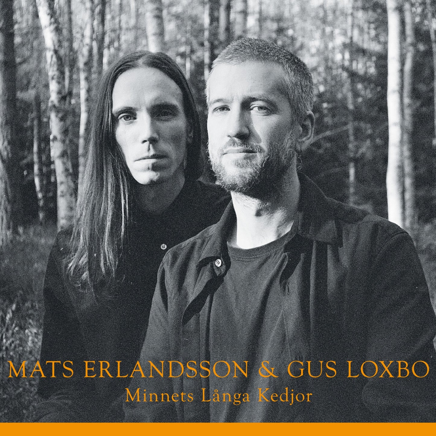 Mats Erlandsson & Gus Loxbo - Minnets Långa Kedjor Album Cover