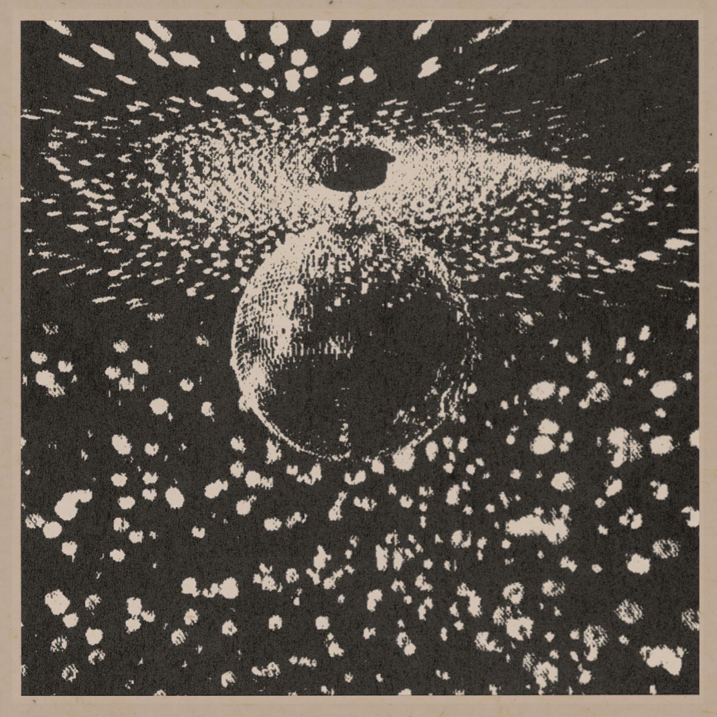 Neil Young - Mirror Ball Album Cover