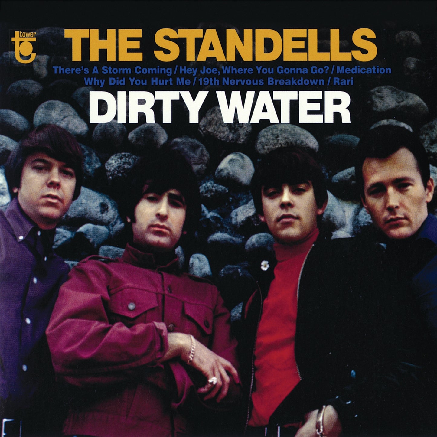 The Standells - Dirty Water (Expanded Edition) Album Cover