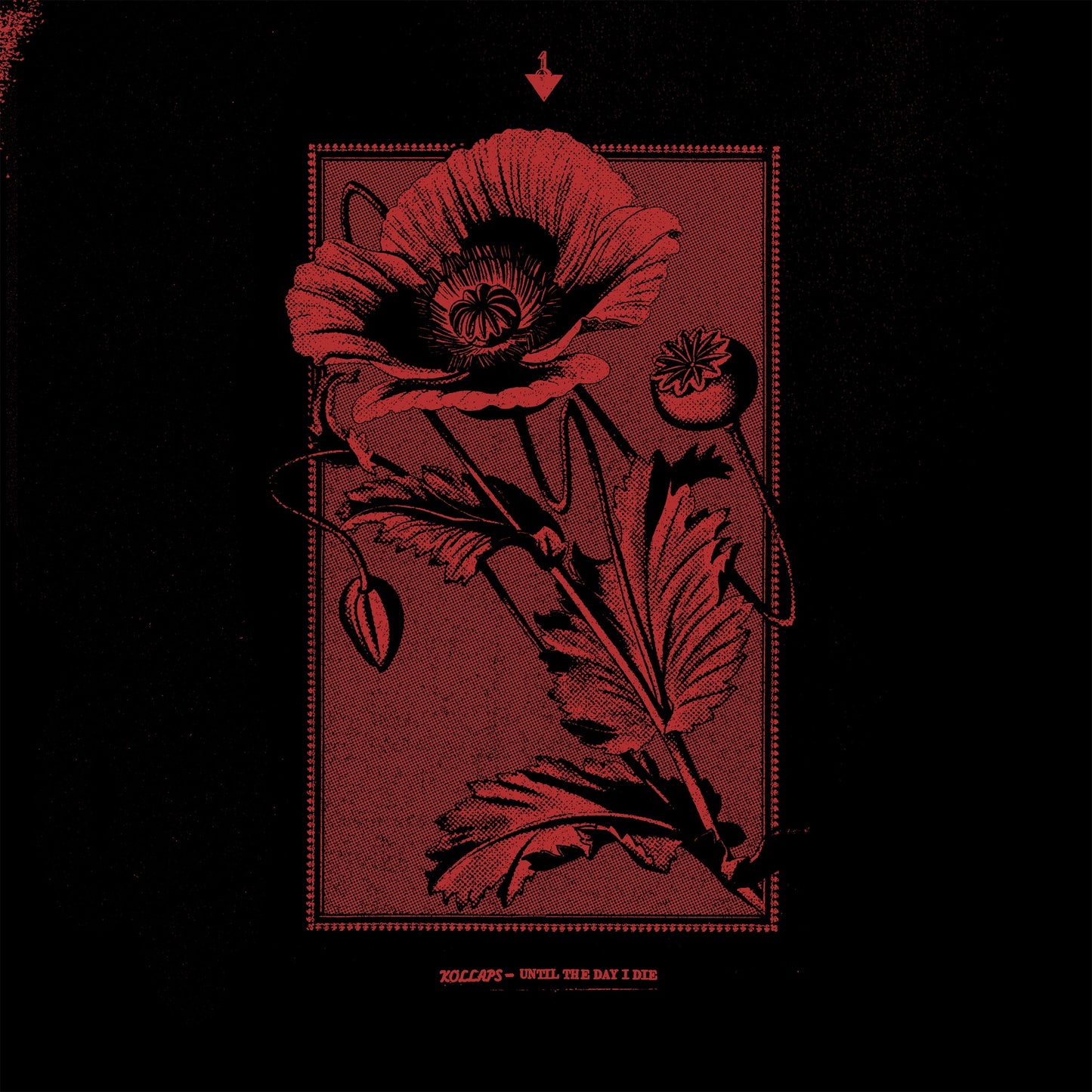 Kollaps - Until the Day I Die Album Cover