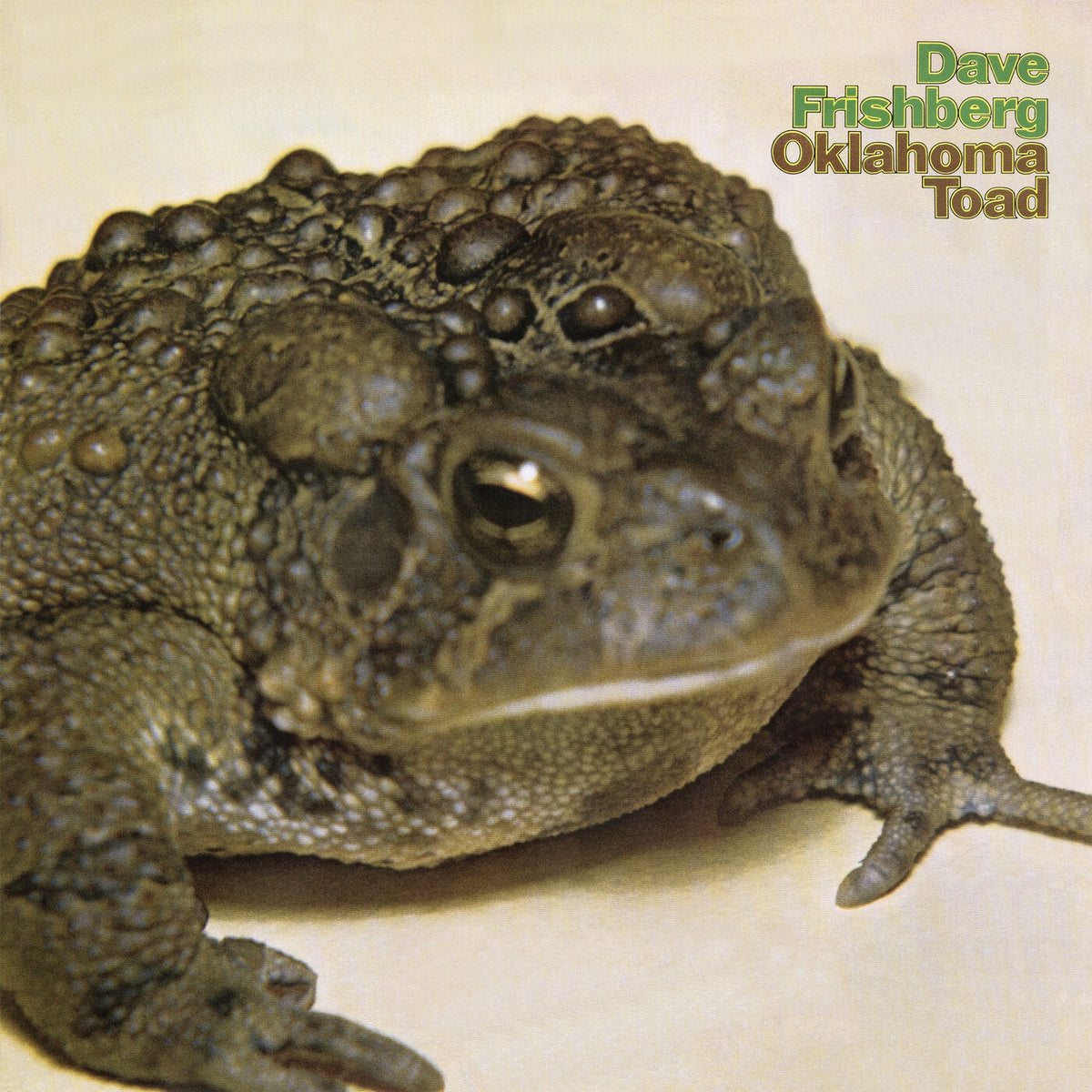 Dave Frishberg - Oklahoma Toad (Remastered 2026) Album Cover
