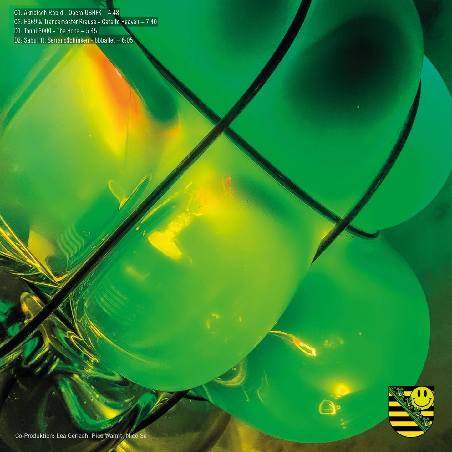 Various - Sachsentrance x DURCH Product Image