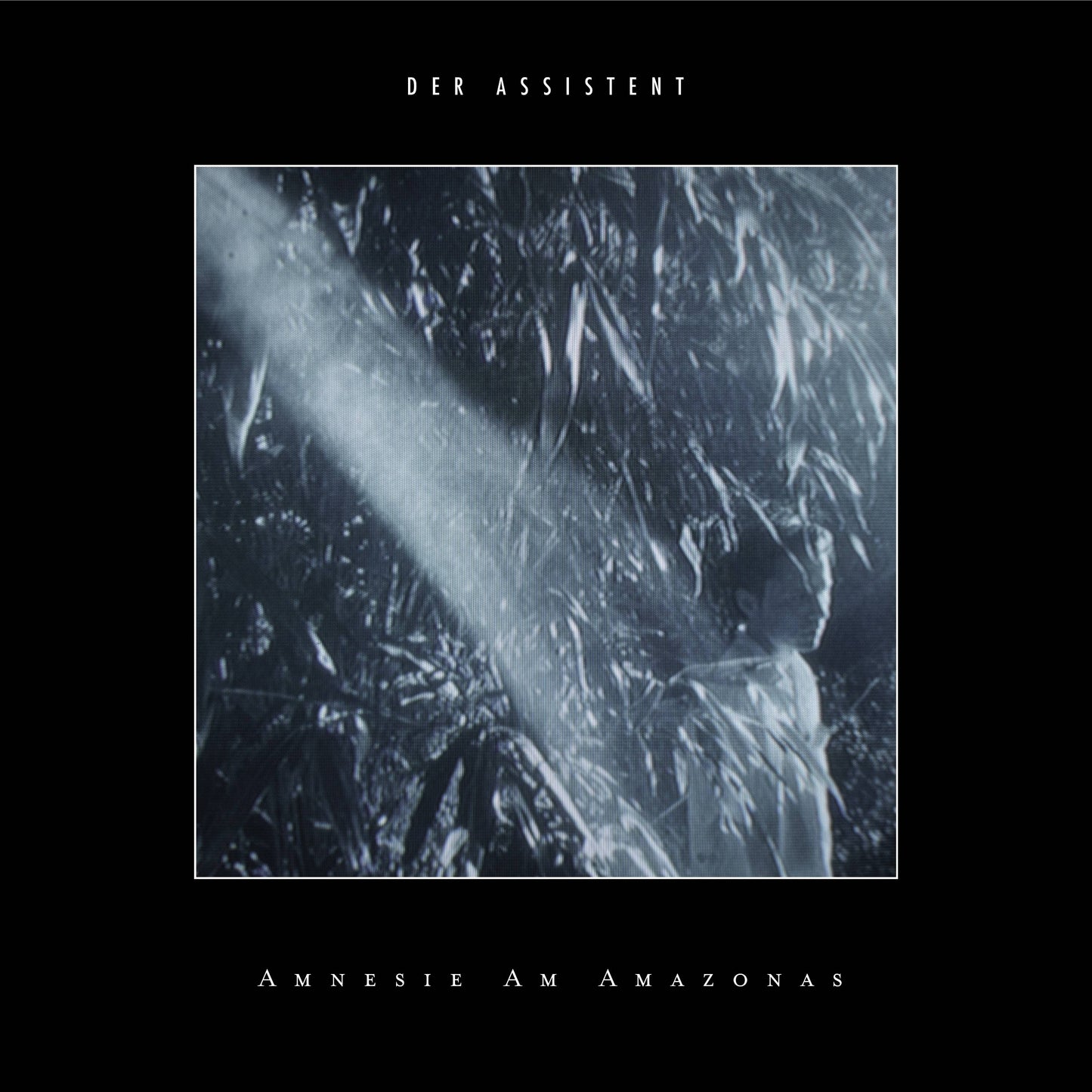 Der Assistent - Amnesie am Amazonas Product Image