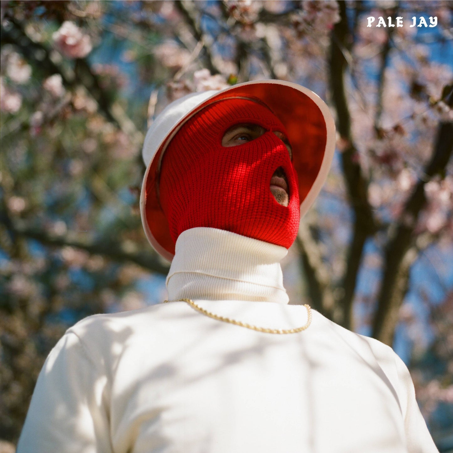 Pale Jay - The Celestial Suite Product Image