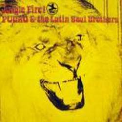 Jungle Fire!