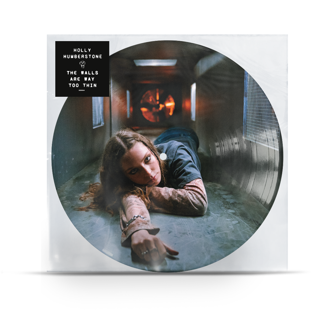The Walls Are Way Too Thin RSD 2022 Picture Disc