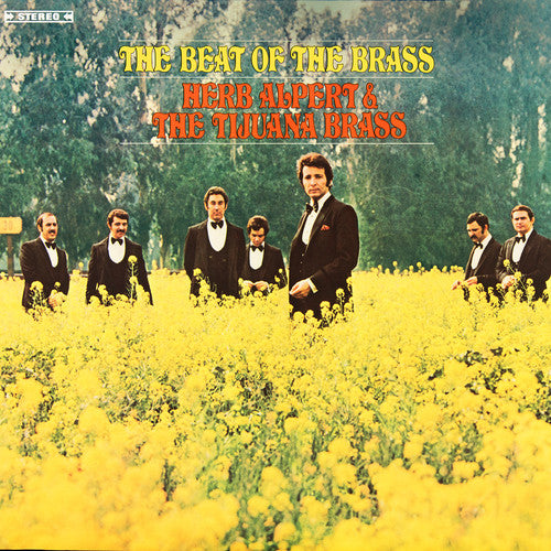 The Beat of The Brass