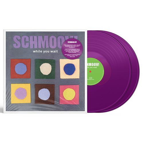 Schmoov - While You Wait - RSD 2026 Product Image