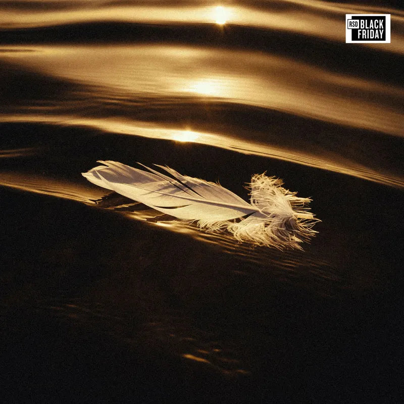 Said the Sky - Icarus & I - Record Store Day Black Friday 2026 Product Image
