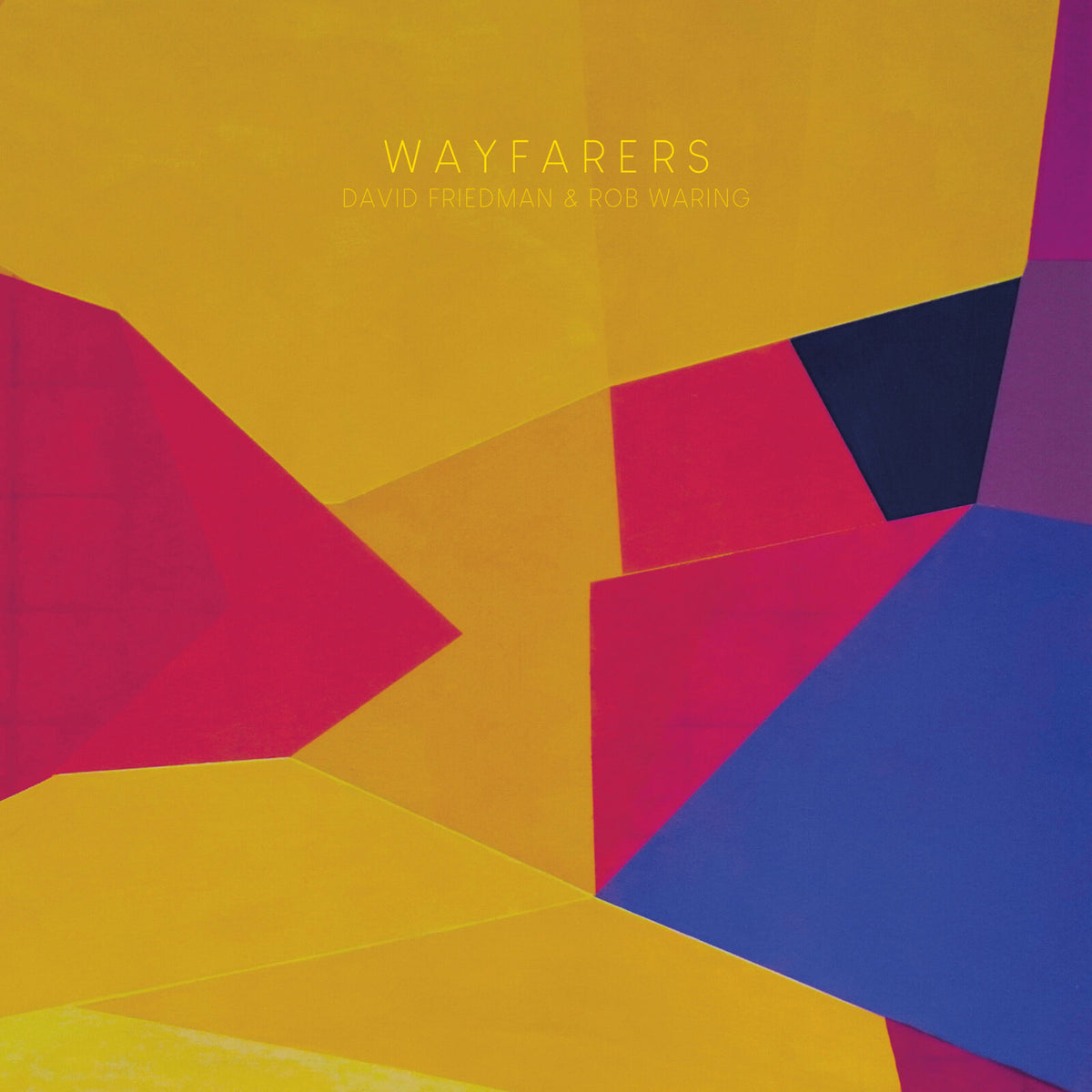 David Friedman and Rob Waring - Wayfarers Product Image