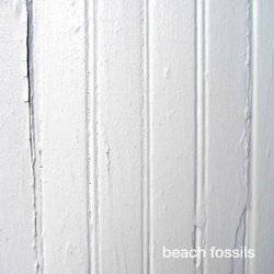 Beach Fossils