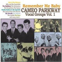 Various - Remember Me Baby - Cameo Parkway Vocal Groups Volume One