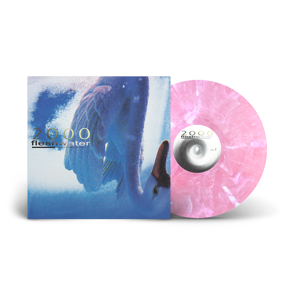 2000: In Search of the Endless Sky