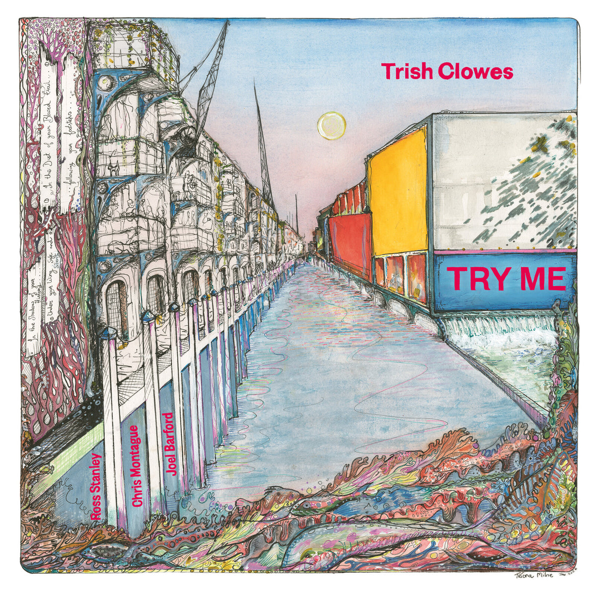 Trish Clowes - Try Me Product Image
