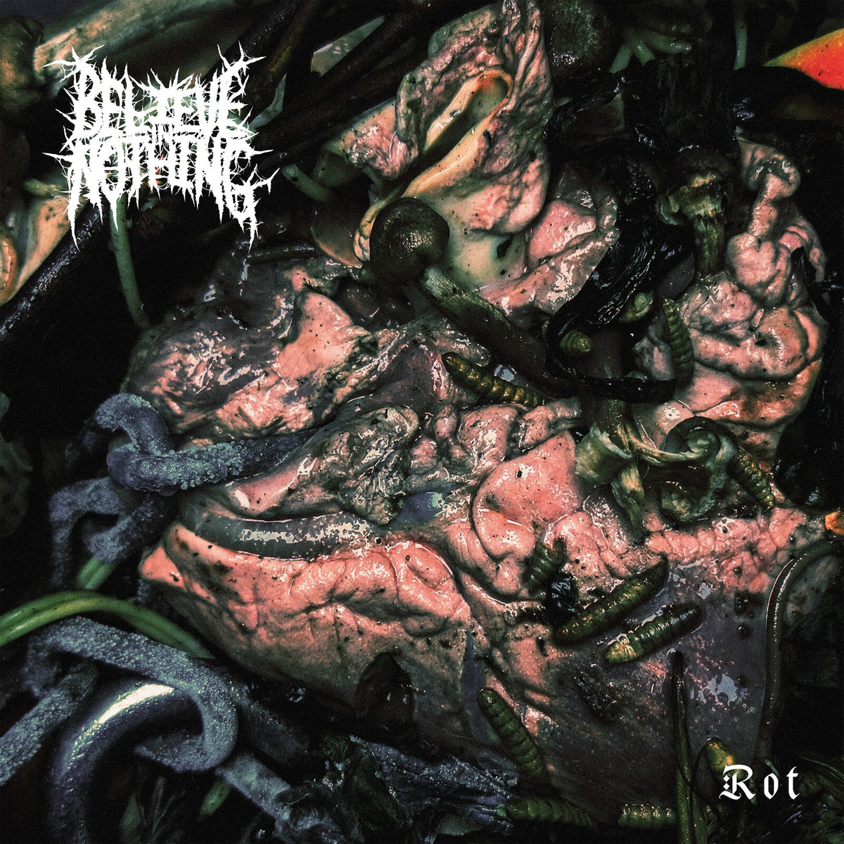 Believe In Nothing - Rot Product Image