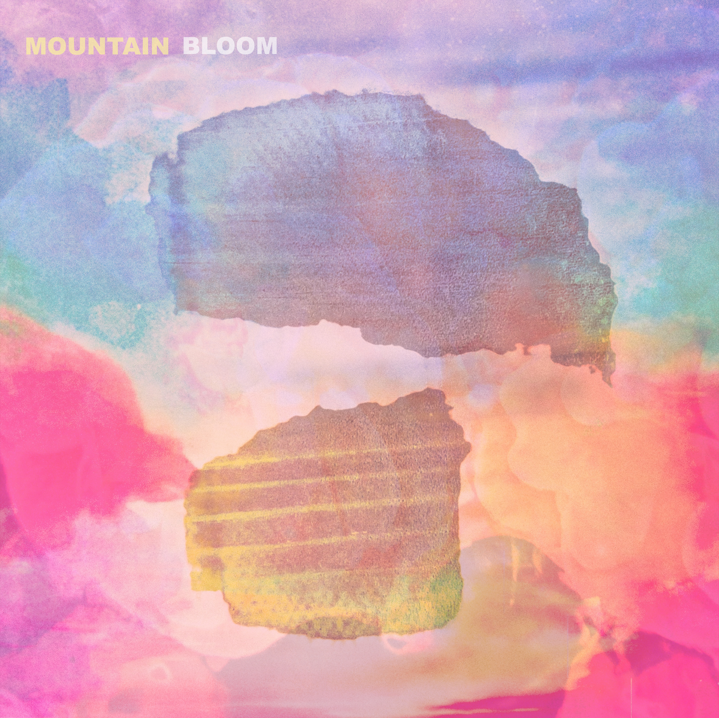 Mountain Bloom