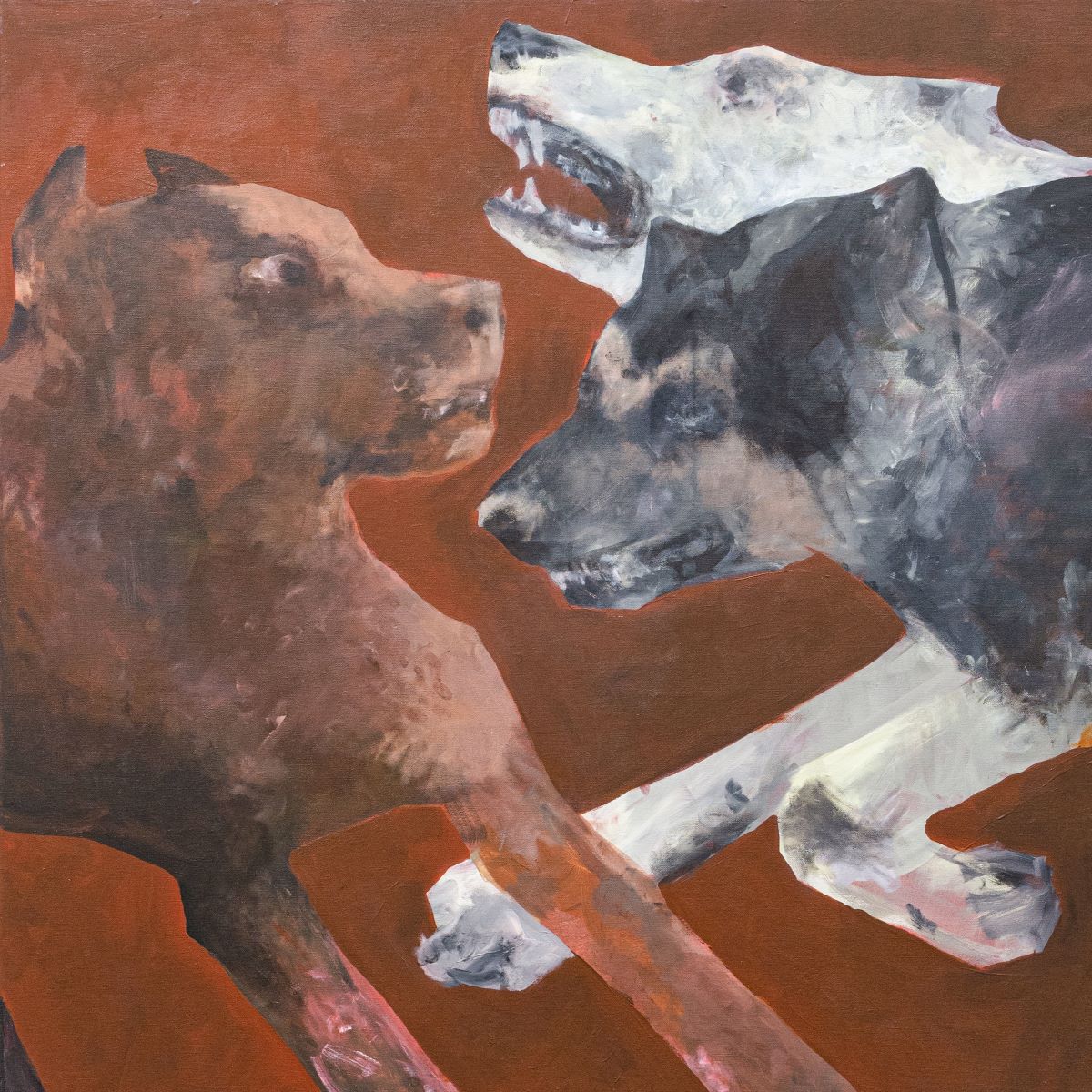 Bad Dogs