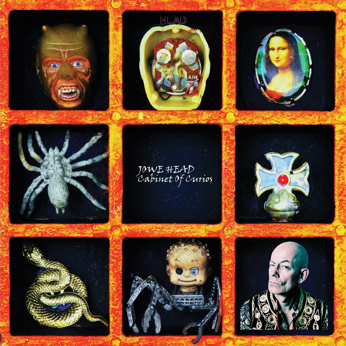Cabinet of Curios