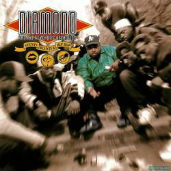 Stunts, Blunts and Hip Hop