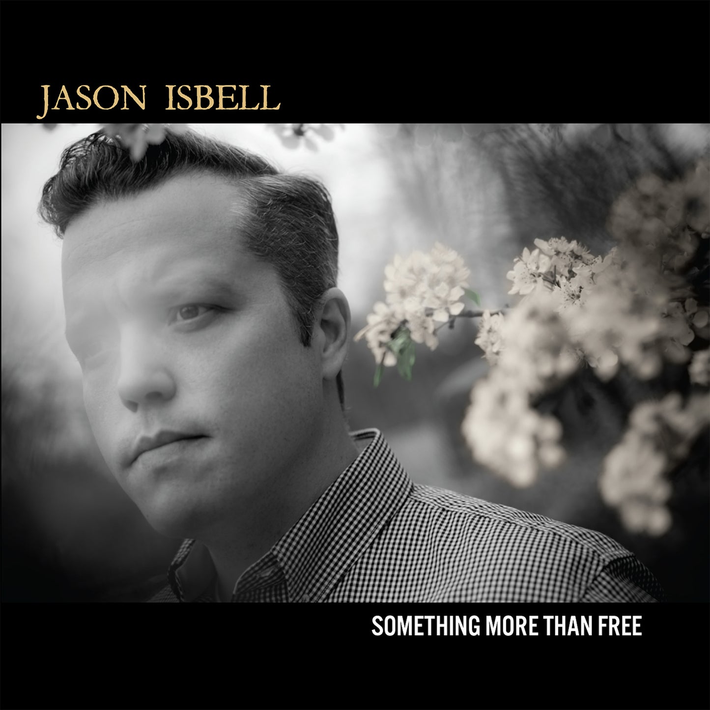 Something More Than Free (10 Year Anniversary)