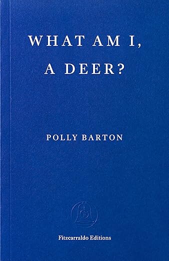 What Am I A Dear?