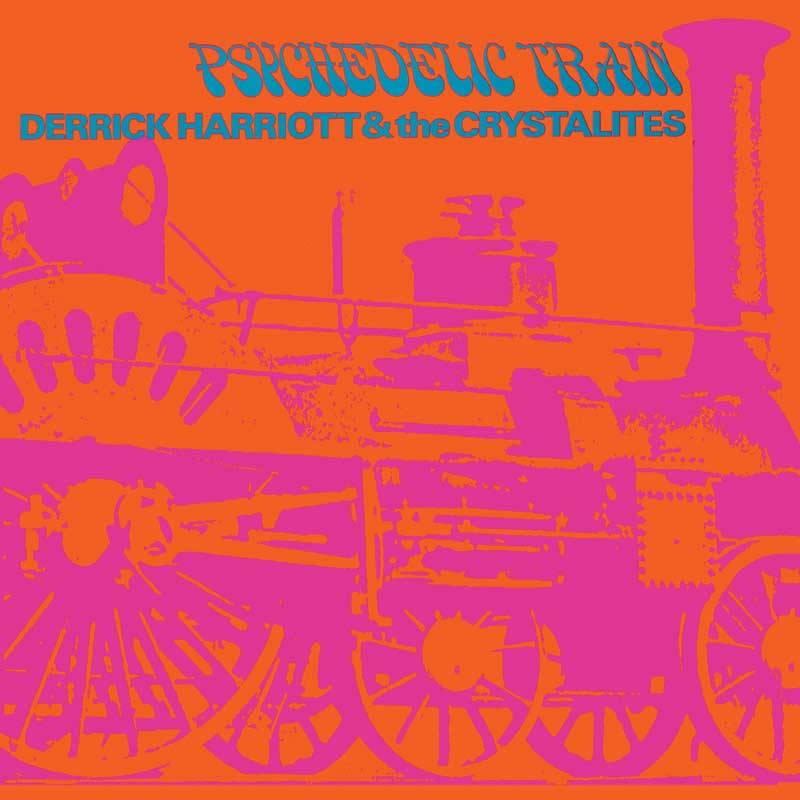 Psychedelic Train - Expanded Edition