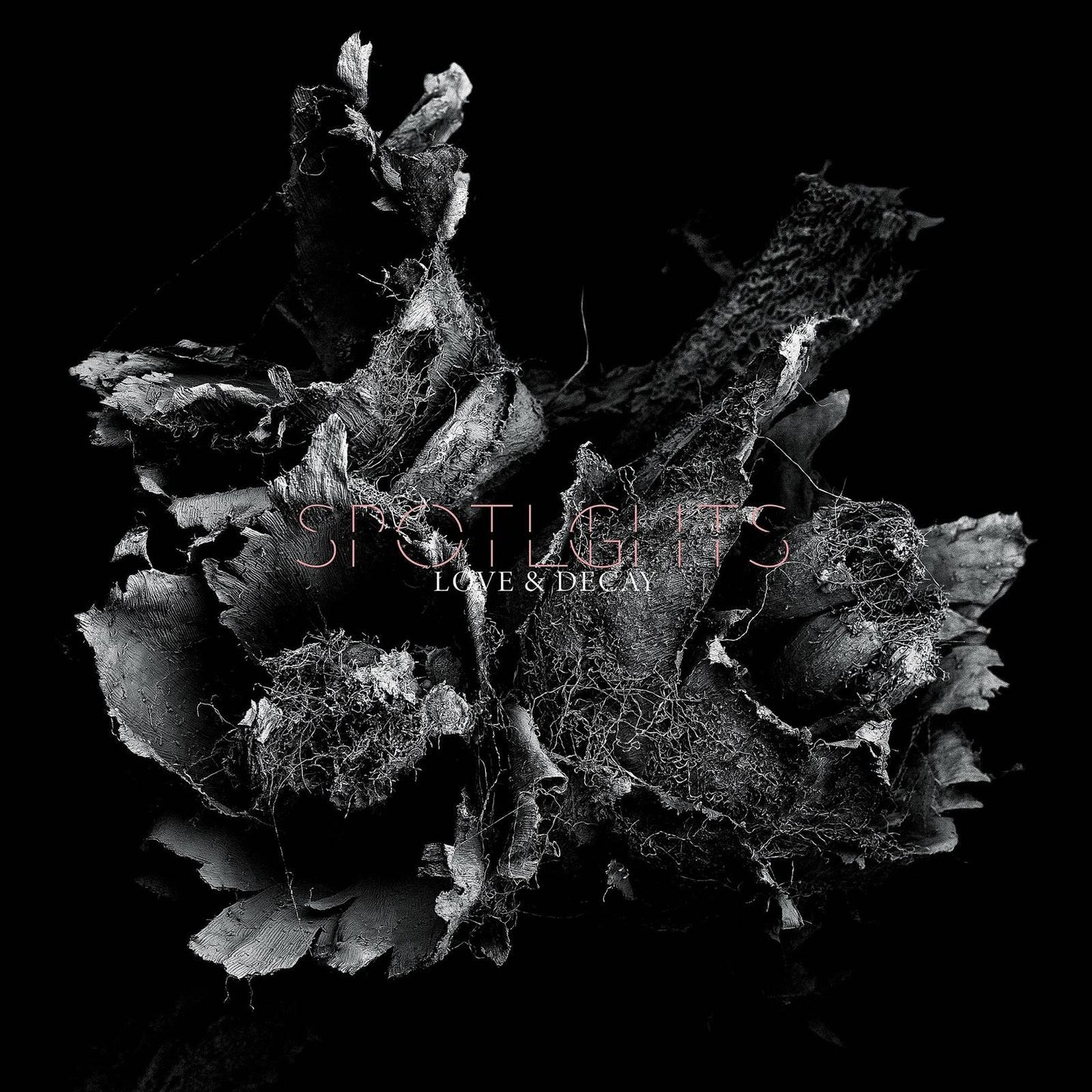 Love and Decay