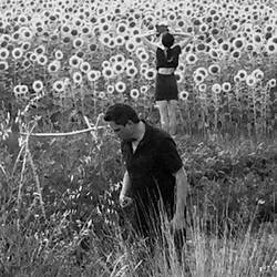 Sun Kil Moon / Jesu